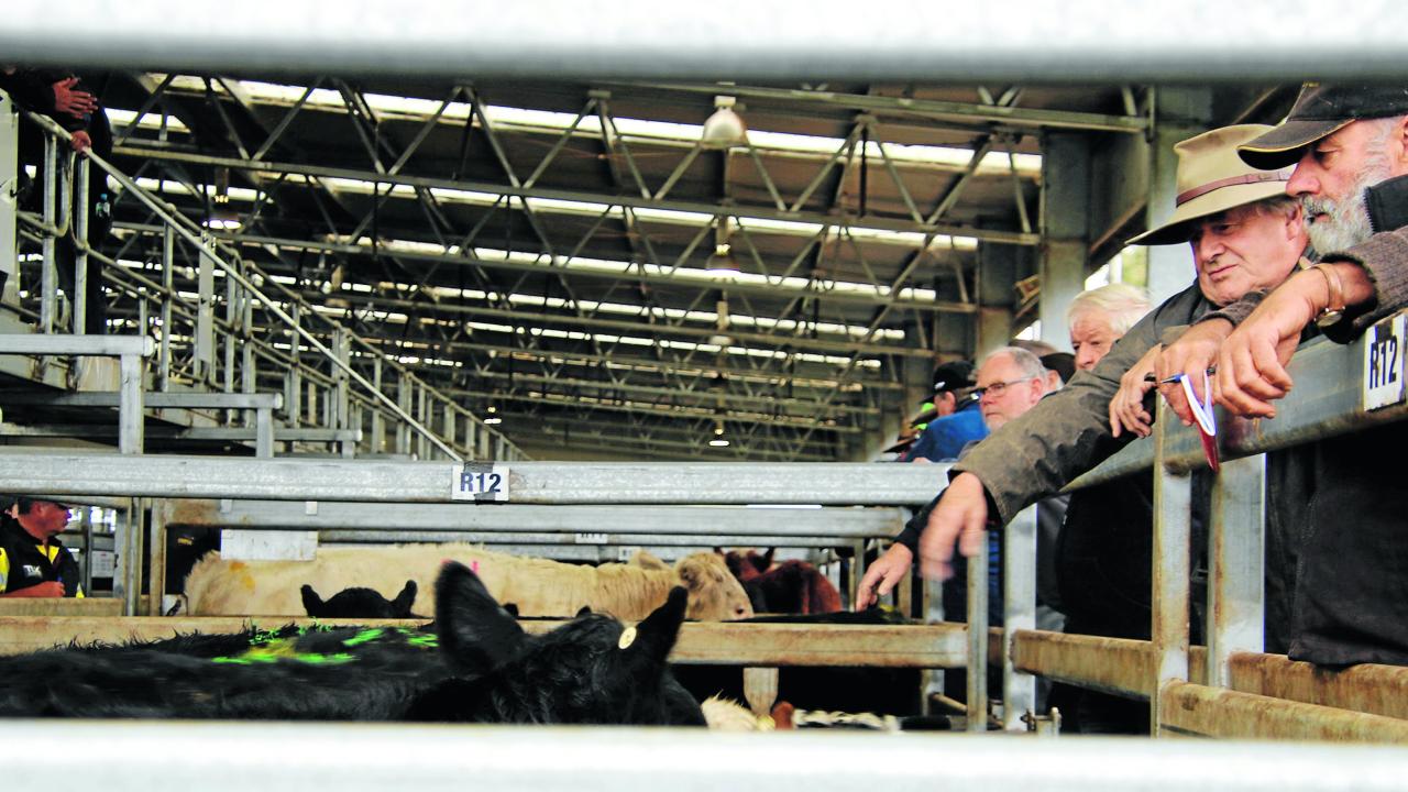 Powranna cattle sale