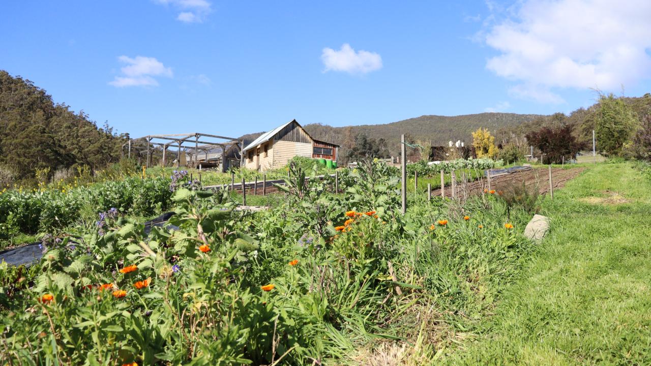 Gardners Bay Farm