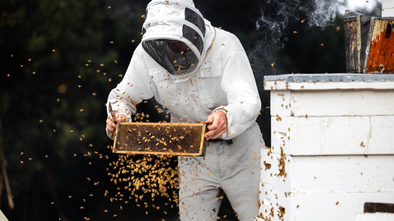 Beekeeper