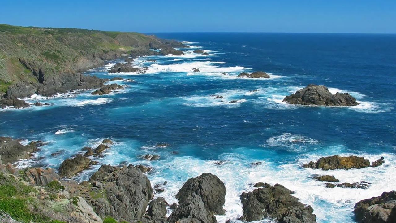 Coastline of King Island