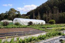 One of the gardens tunnels