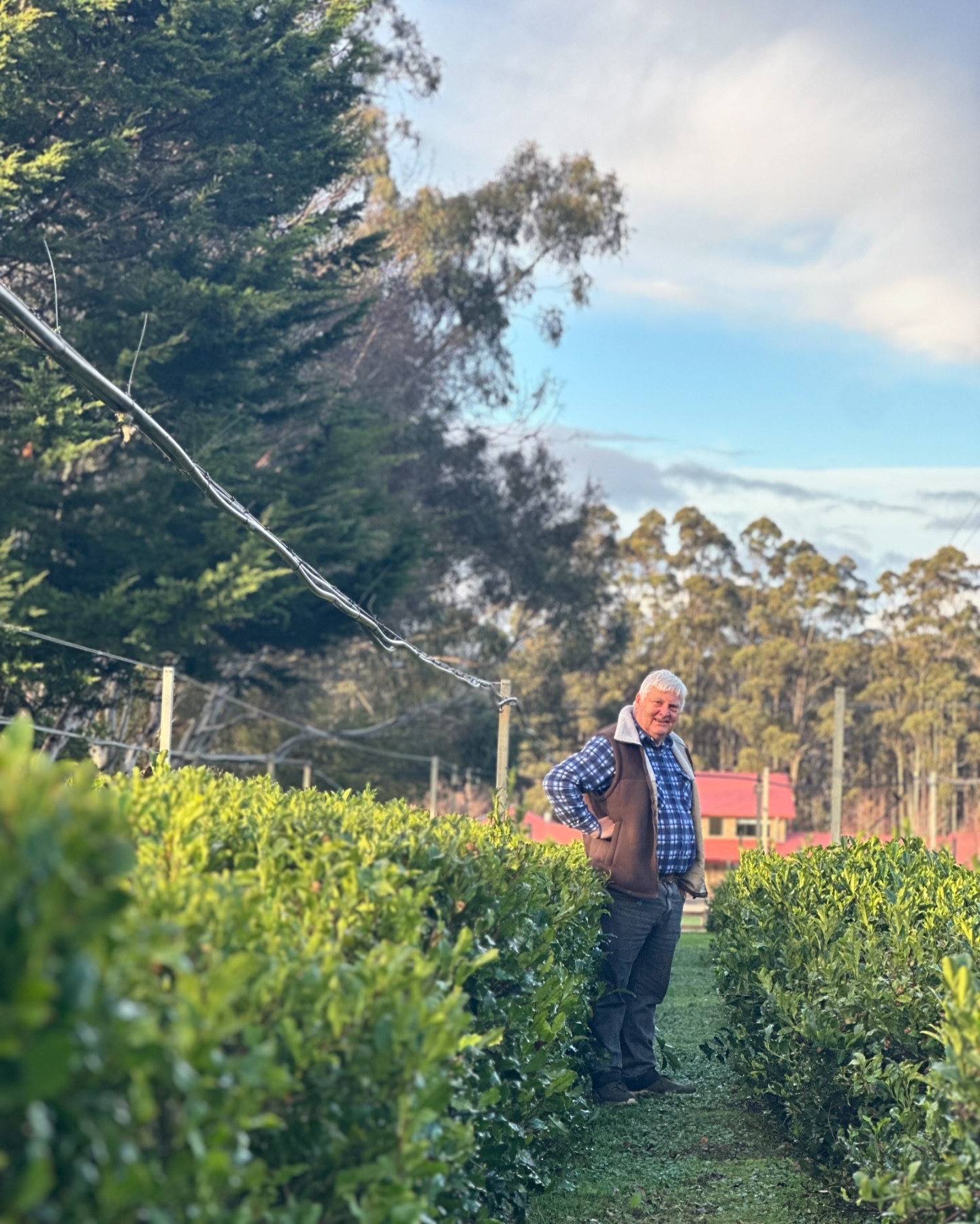 Gordon Brown in the tea plantation