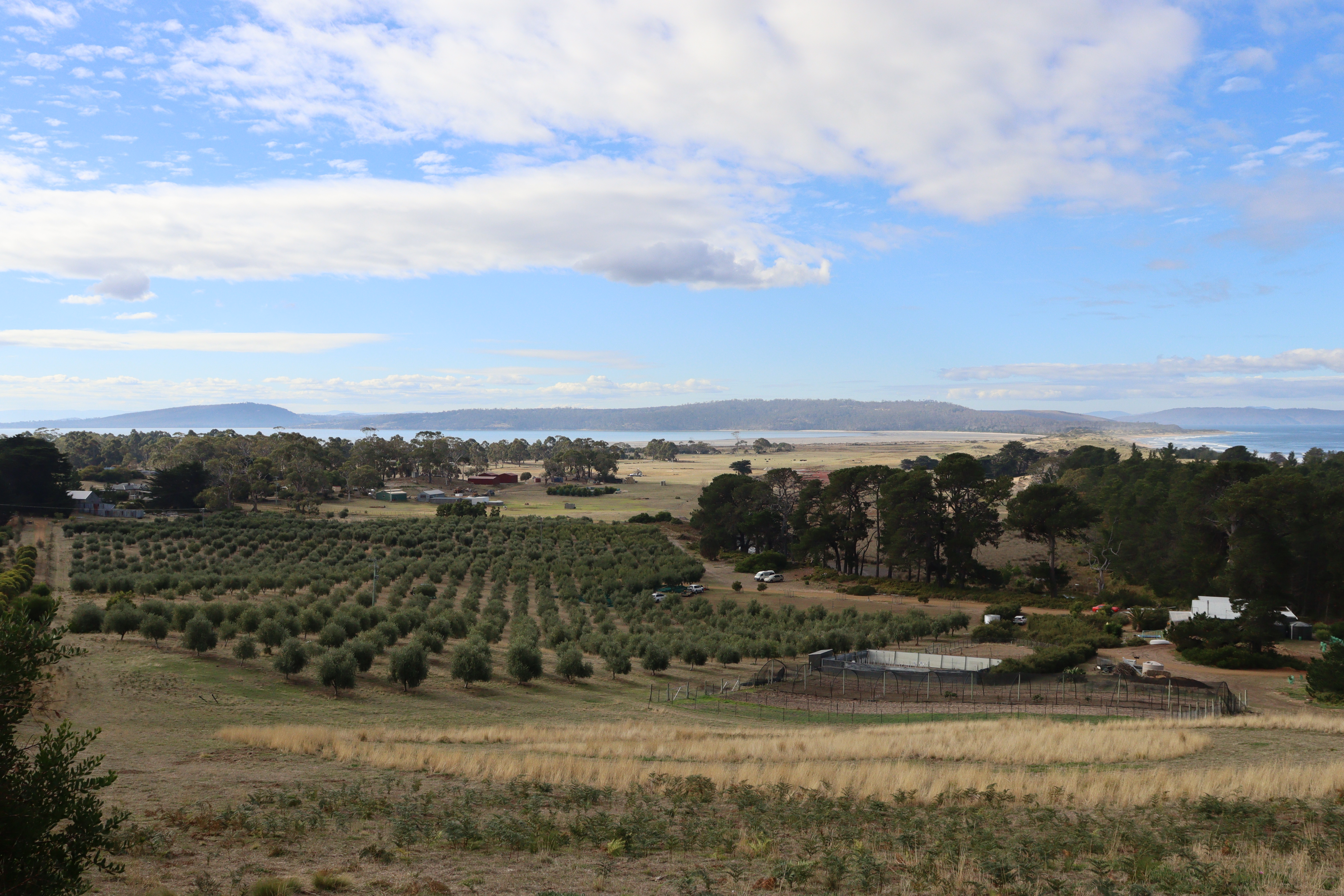 The property is surrounded by open ocean.