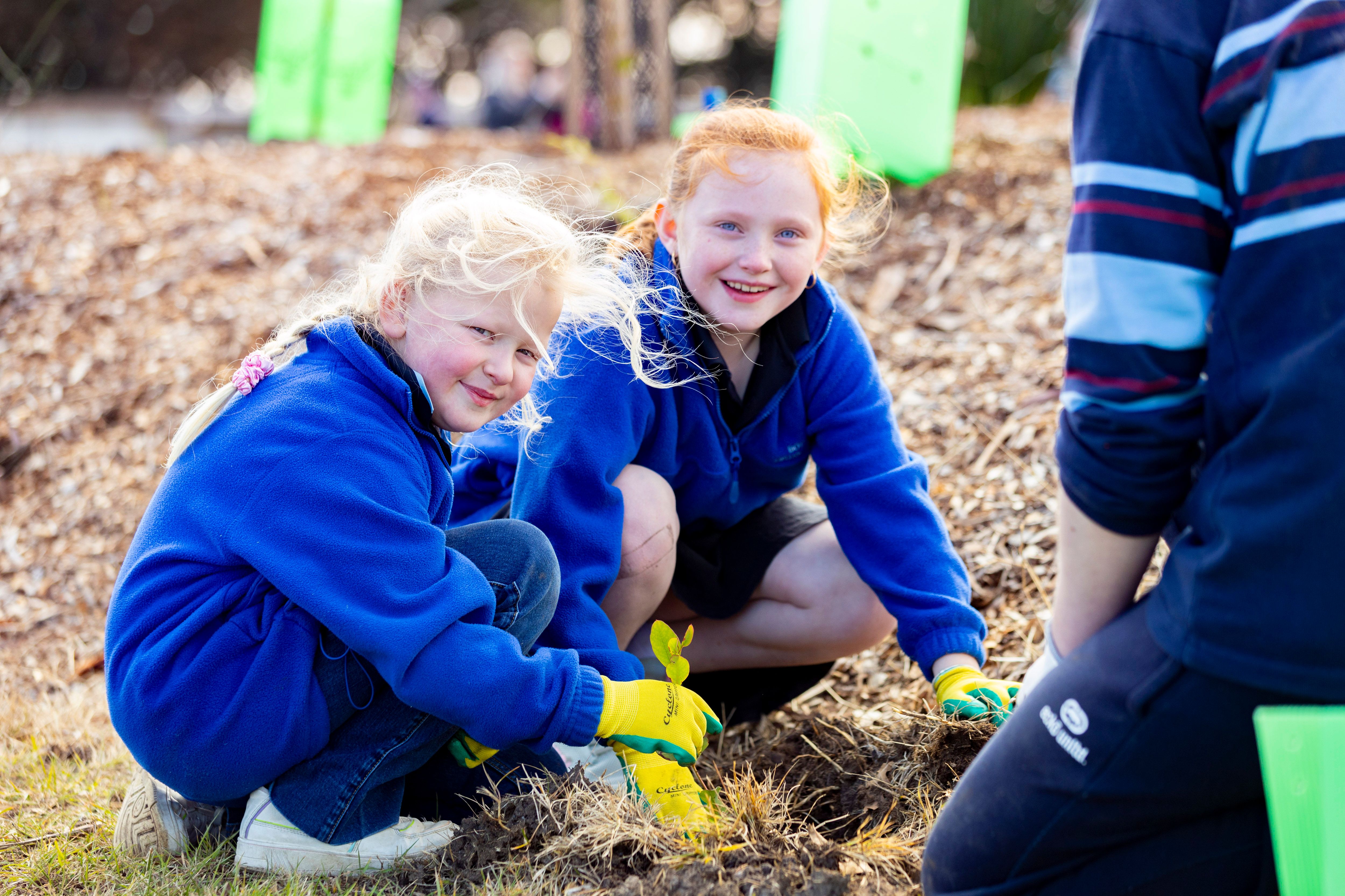 school planting