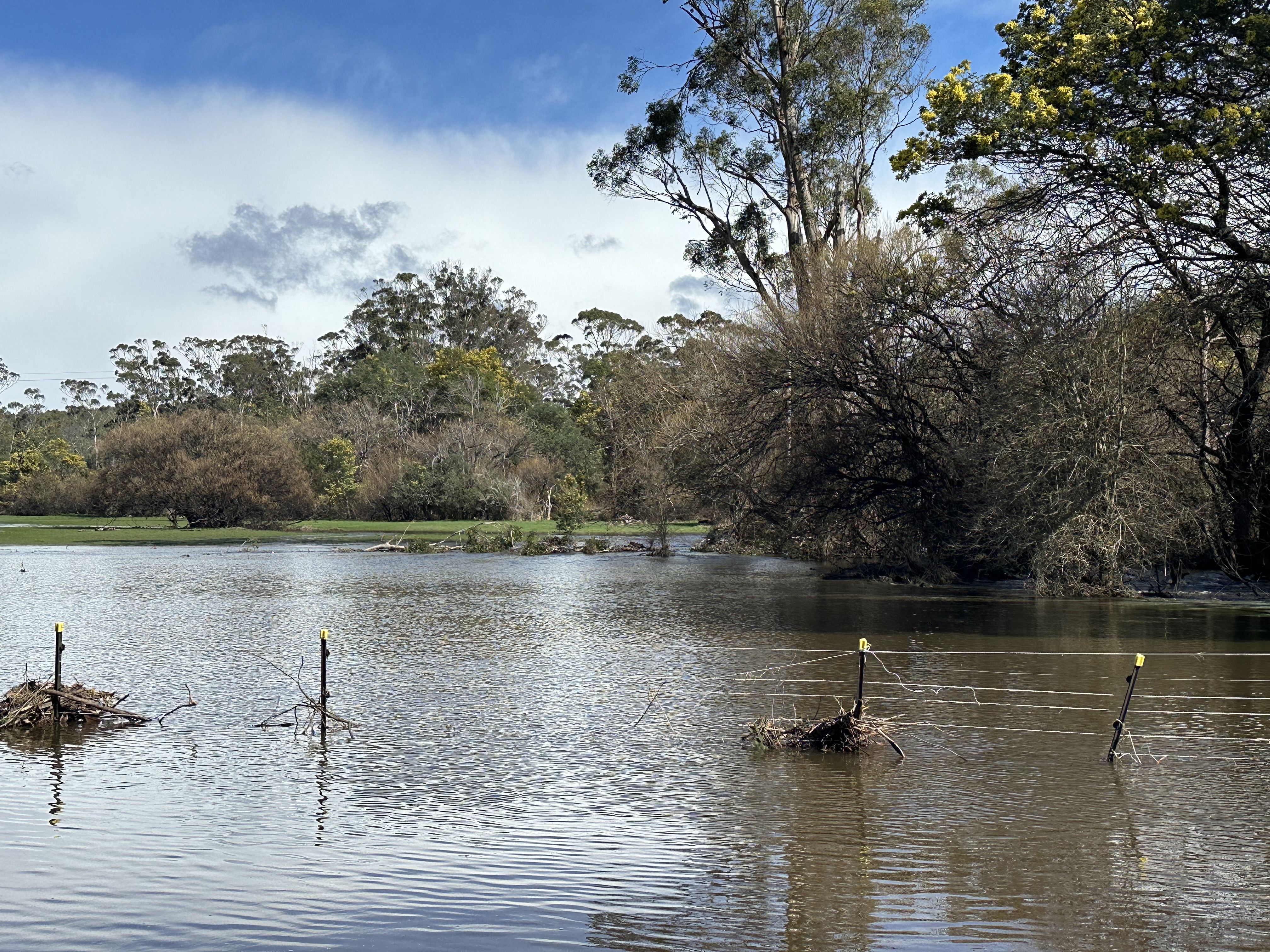 Flooding at Deloraine