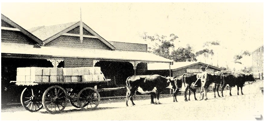 A load of King Island Dairy factory products outside J.J Balls in Main Street Currie 26 Dec 1903 - Weekly Courier