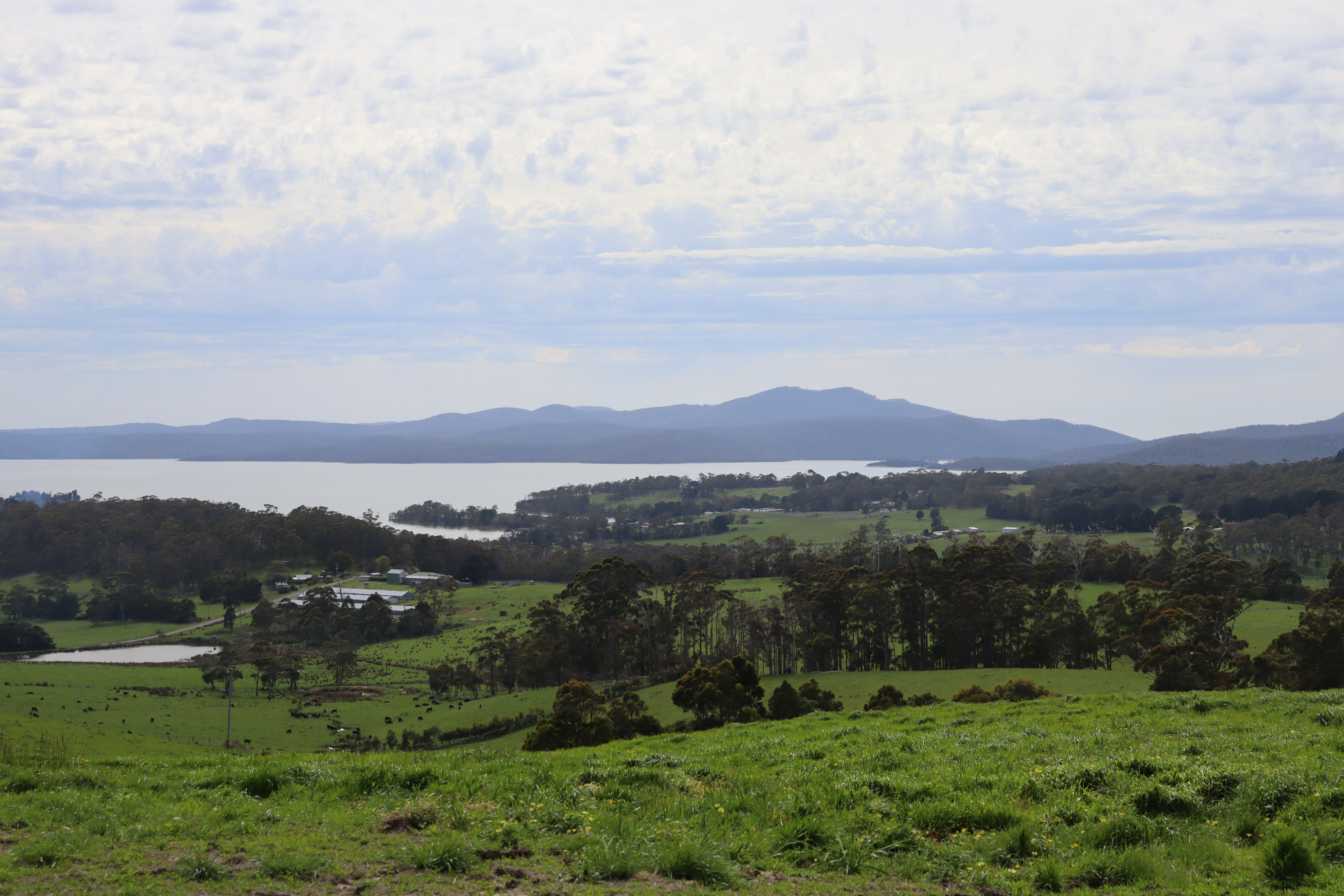 Views over the rolling green hills. Photo Bronwyn Lisson