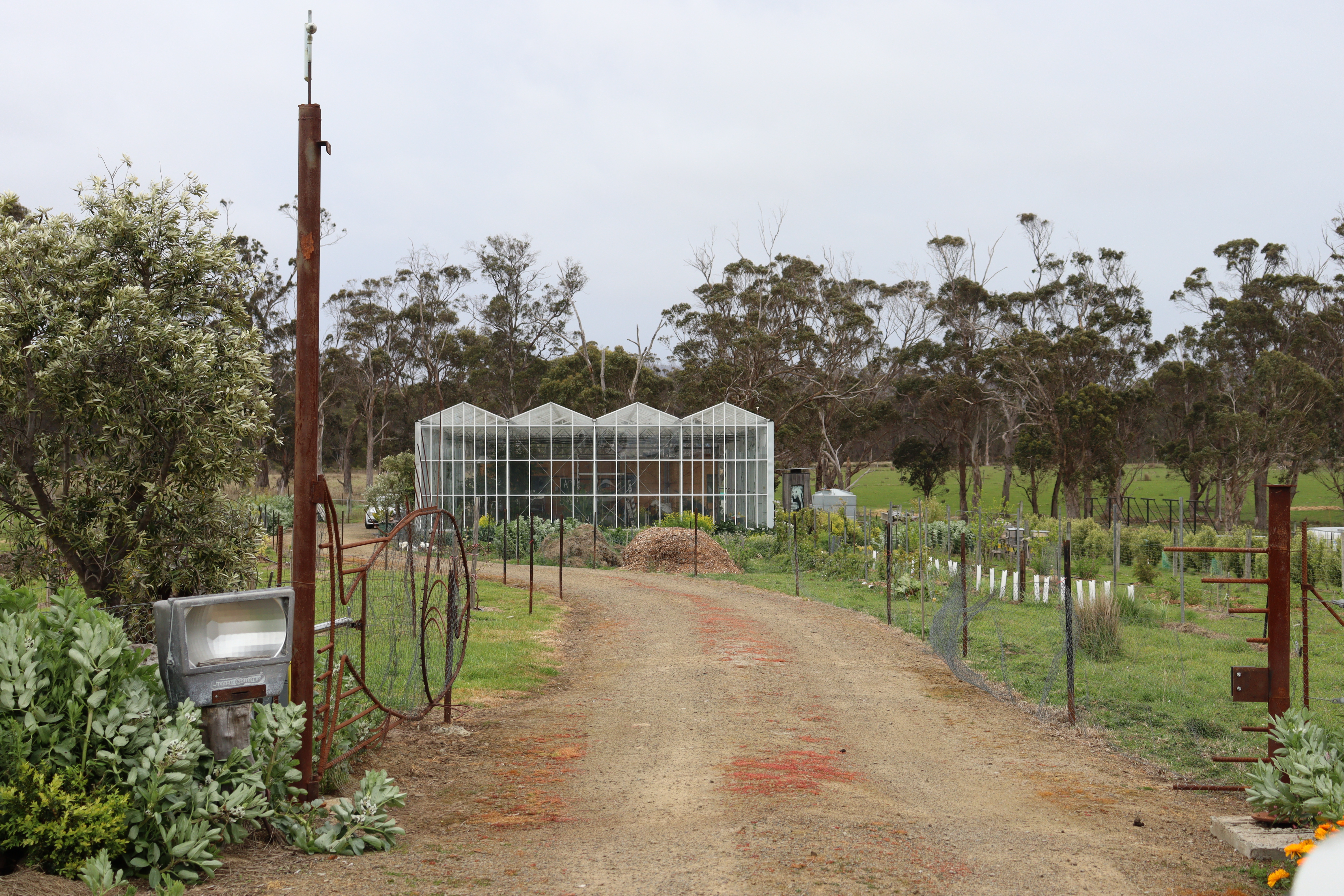 Greenhouse