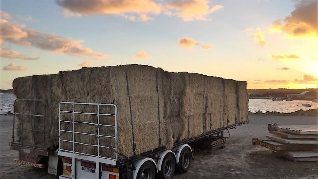 Imported hay bales at Grassy Port earlier this year