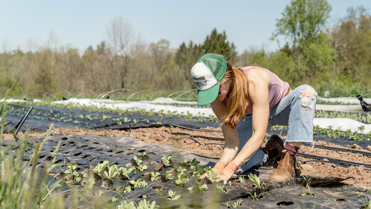 Photo by Zoe Schaeffer. a woman planting seeds on a farm.