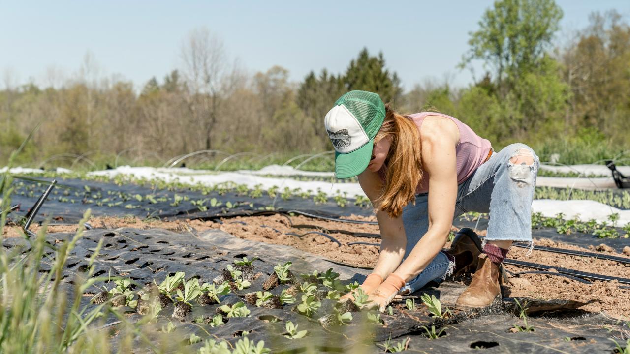 a woman planting seeds on a farm.