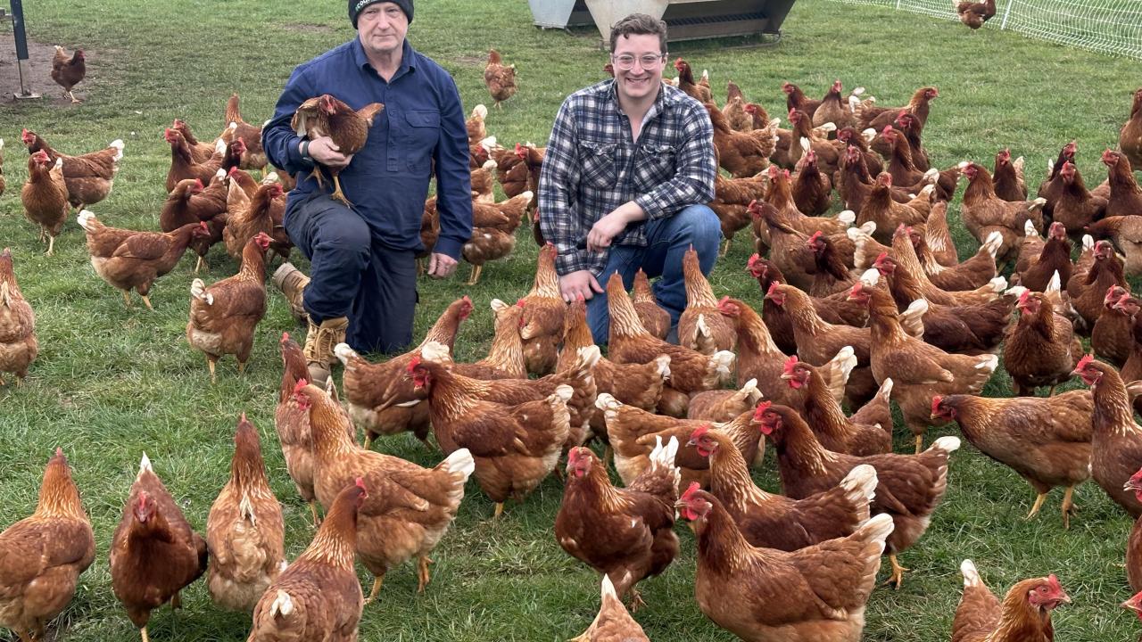 Nigel and Nick Aylott from Western Tiers Pastures