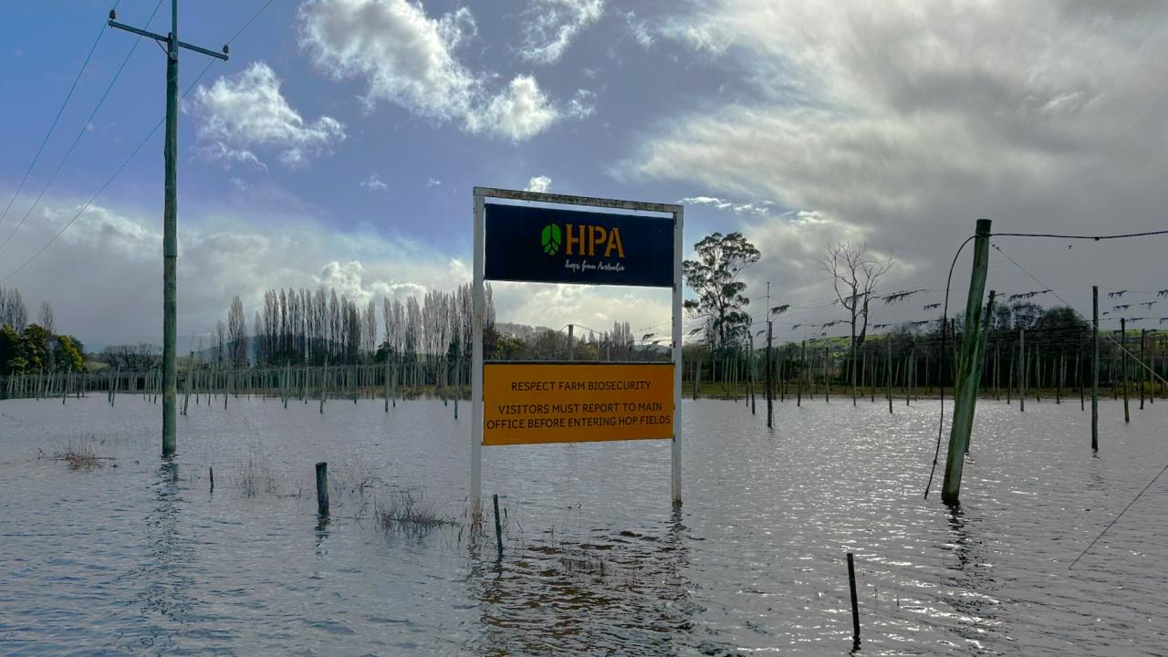 Hopfields Australia between the Derwent and the Styx today