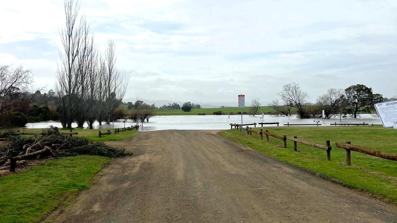 Honeysuckle Banks, Evandale