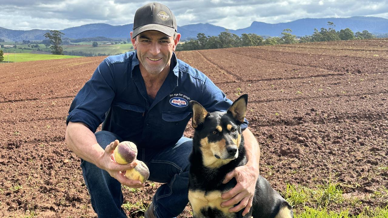 Stuart Applebee and Ziggy from Esandsea Farming won Harvest Moons awards for swedes and beans this year Stuart Applebee