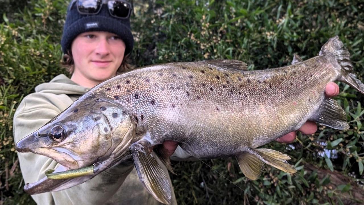 Picture: Kingborough Anglers Association's Arthur Whittock with his junior longest trout and winning fish in last weekend's STLAA Interclub Challenge held on the Huon River.