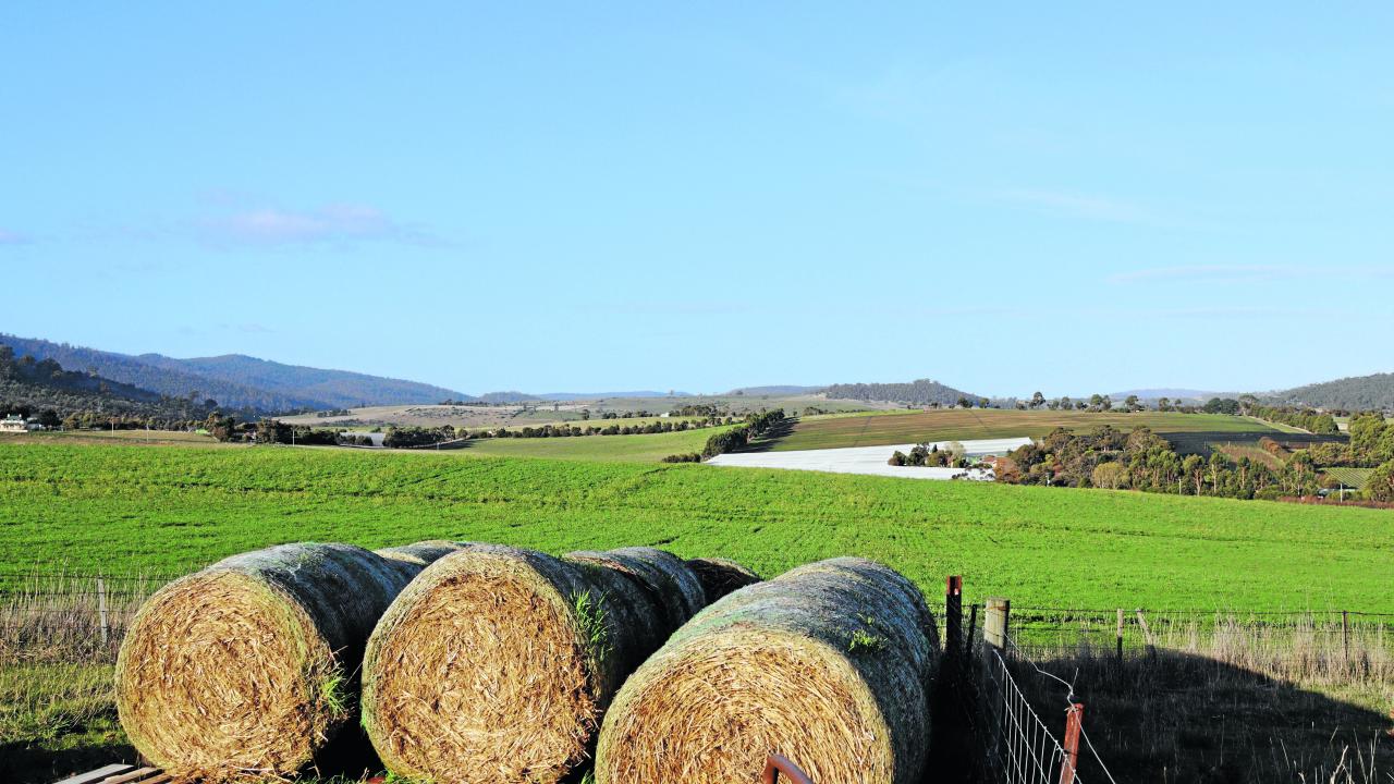 Scammers are taking advantage of a feed shortage Hay bales