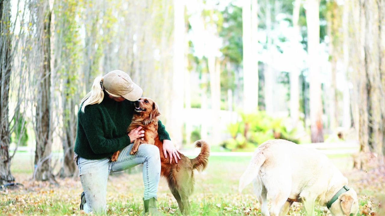 Anna Terry and her canine truffle team