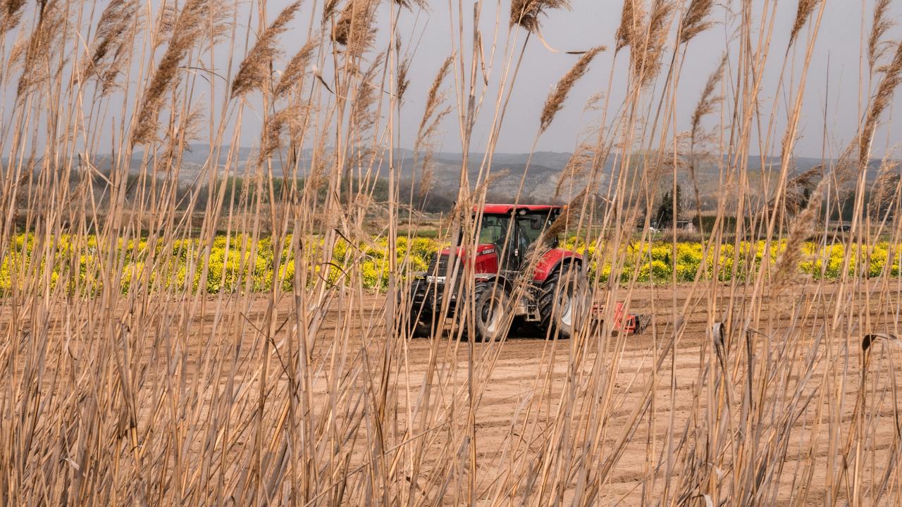 Tractor in field