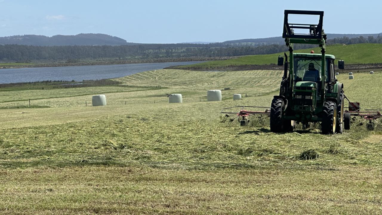 Pasture was being cut near Elizabeth Town earlier this week with farmers hoping for a good fodder season. Picture: KAROLIN MACGREGOR