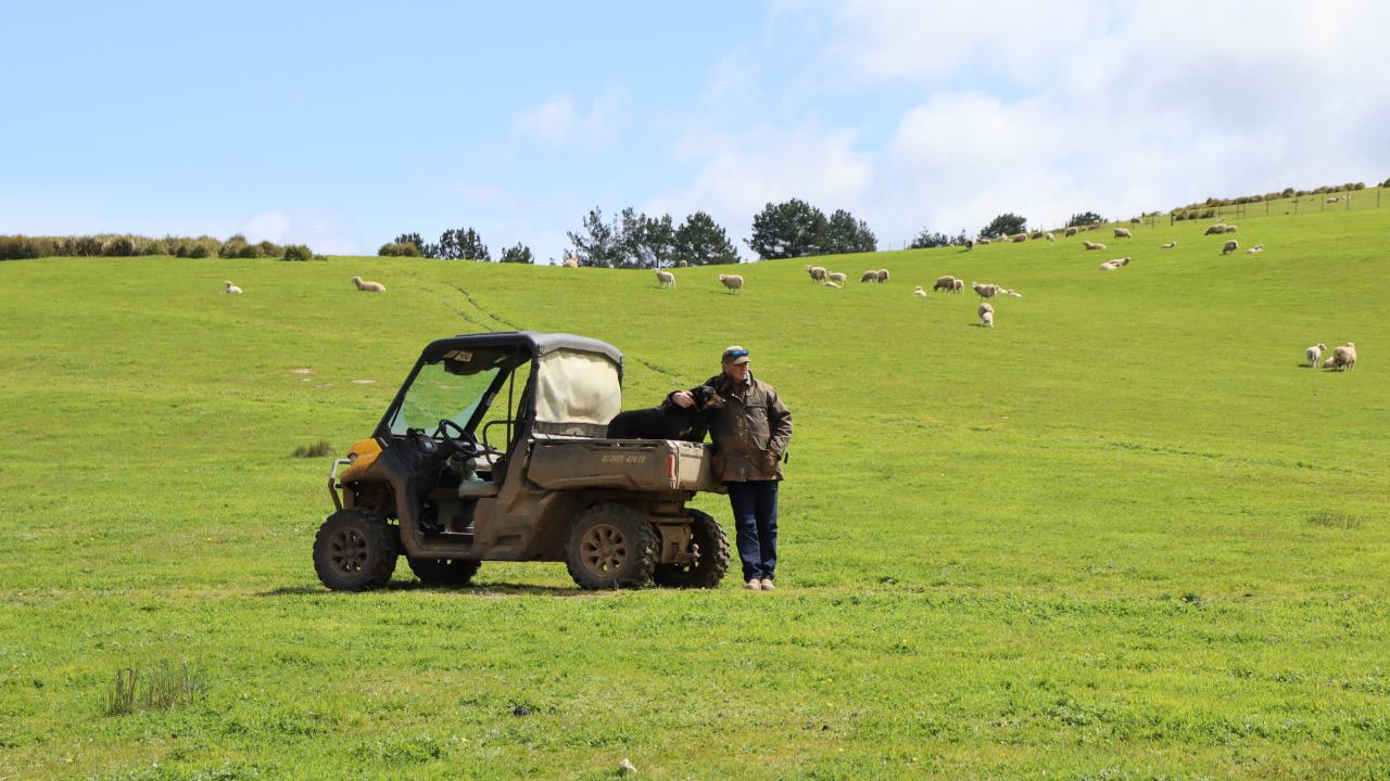 George Shea on his property in Hamilton. Photo by Bronwyn Lisson