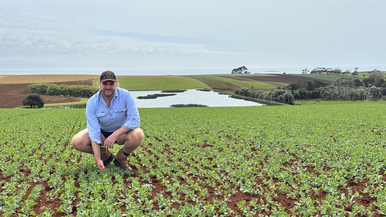 Simplot veg grower of the year Jamie Marshall