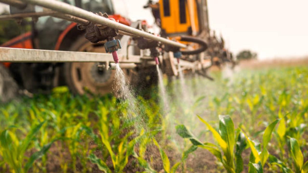 spraying field spraying field