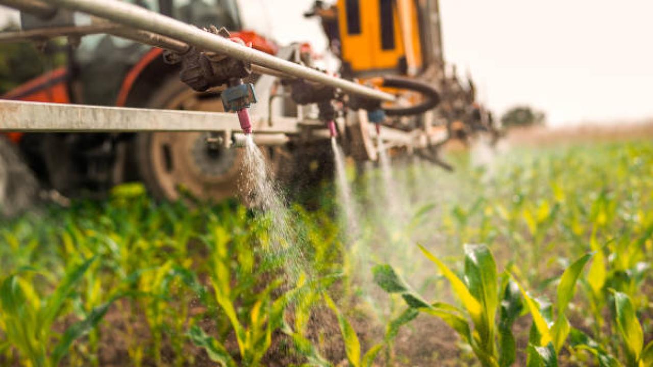 spraying field 