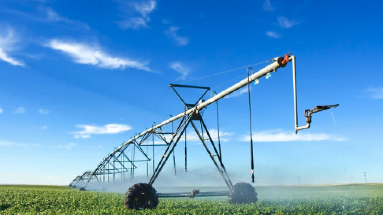 Irrigator