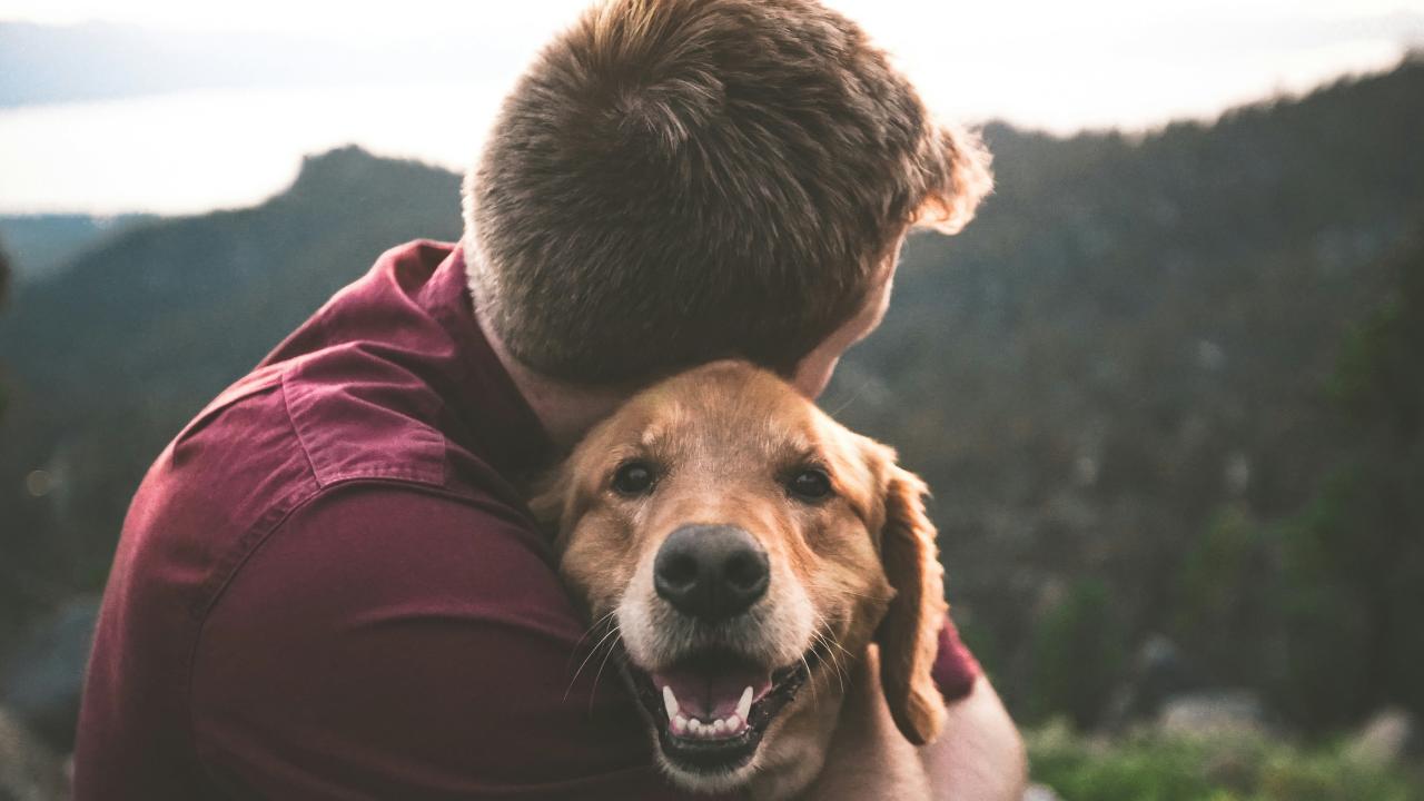 dog and owner