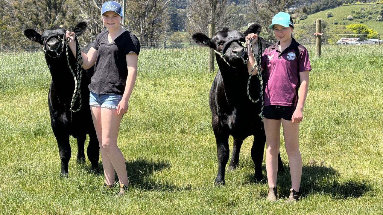 Chloe Cocker with her heifer Cydie and Hailey Cocker with her heifer Brolga.