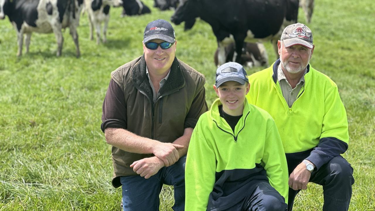 Anthony, Toby and Bruce Grey