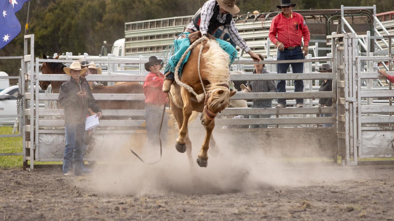 Rodeo pic