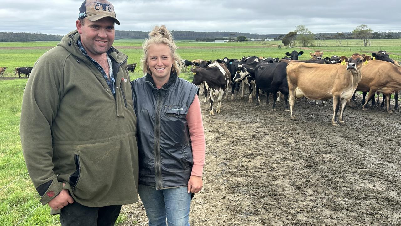 Milk quality award winners Ryan and Brighid Langley