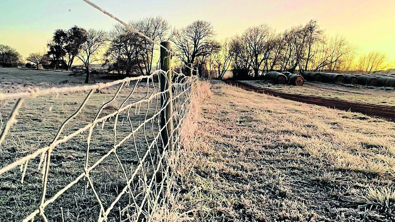 Frosty farm fence