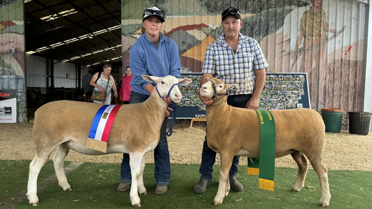 Imogen Baldock with the Champion Interbreed ewe and Paul Day with the Reserve Champion.