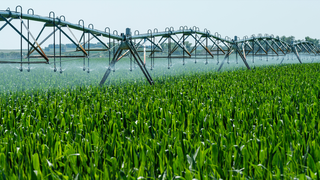 Irrigation