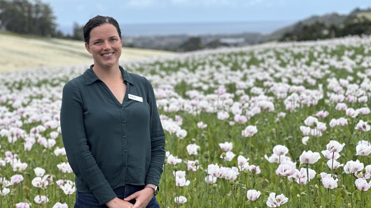 Dr Tory Clark is heading up a new zero net emissions horticulture demonstration project at Forthside. Dr Tory Clark is heading up a new zero net emissions horticulture demonstration project at Forthside.
