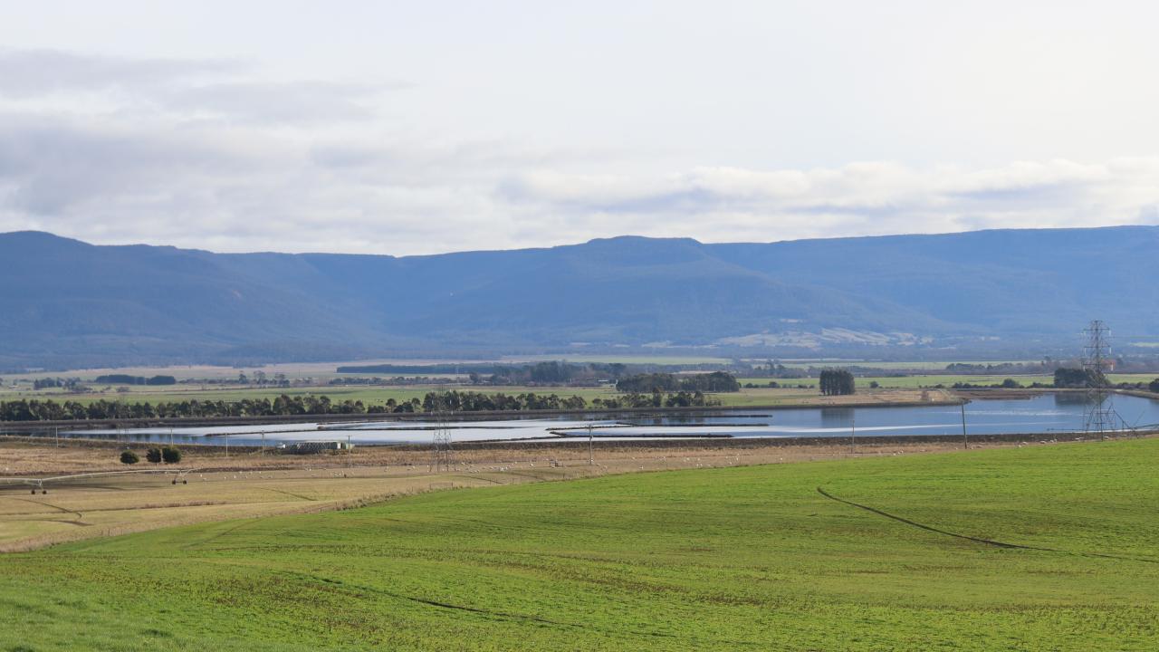 A full dam at Cressy