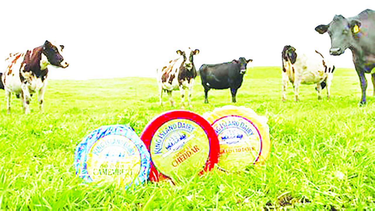 King island Dairy King Island Dairy