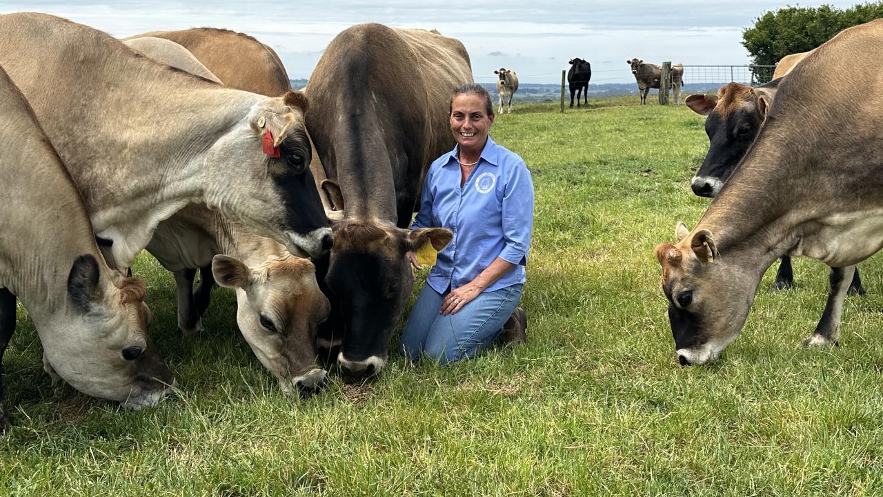 Farm consultant Penny Williams with some of her Jerseys