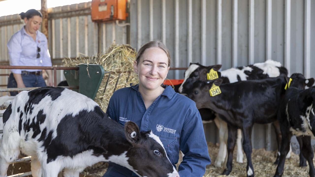 Dairy UP PhD student Alice Shirley is using data from rumen sensors to explore how cattle respond differently to heat events. 