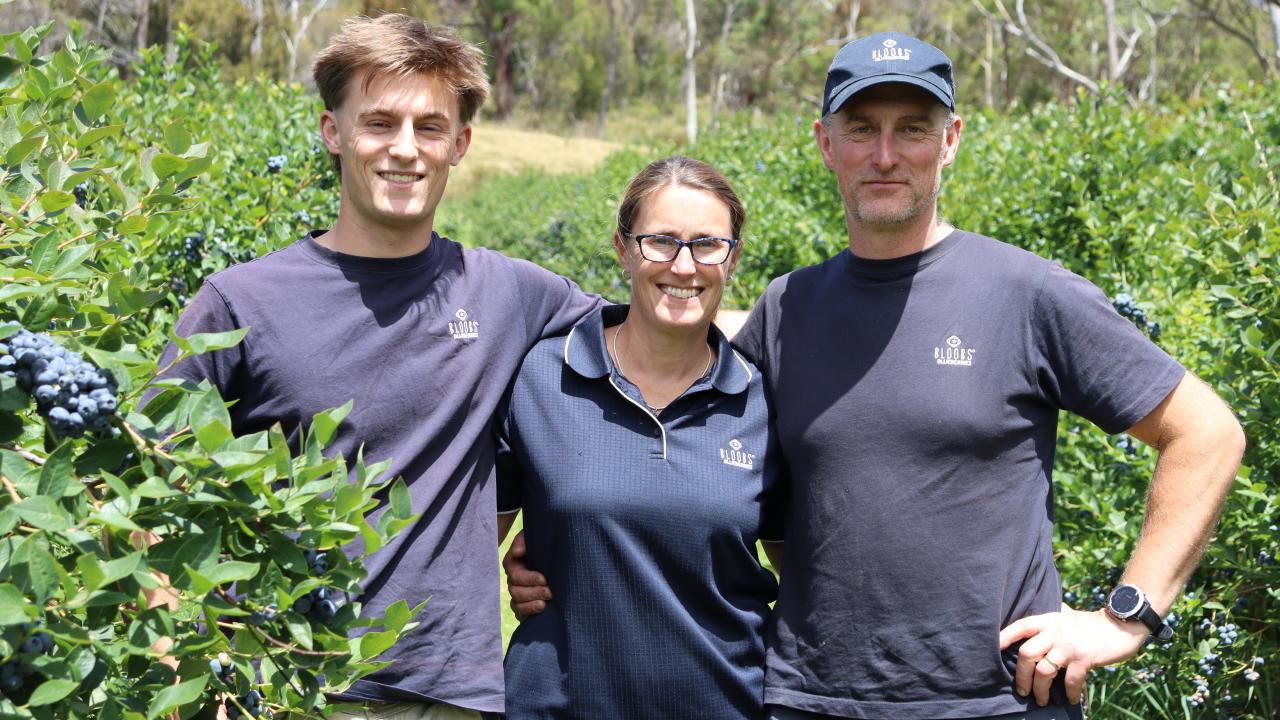 Nick, Jo and Tim Muir among the blueberry rows