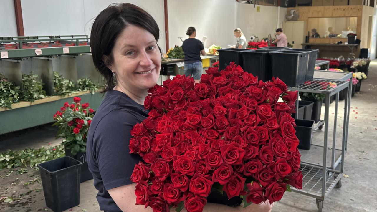 Megan Lee in the packing area at Tamar Valley Roses