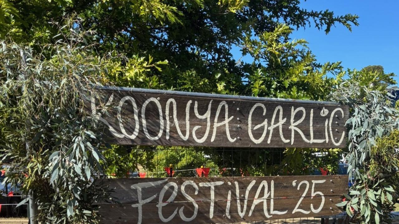 Koonya Garlic Festival