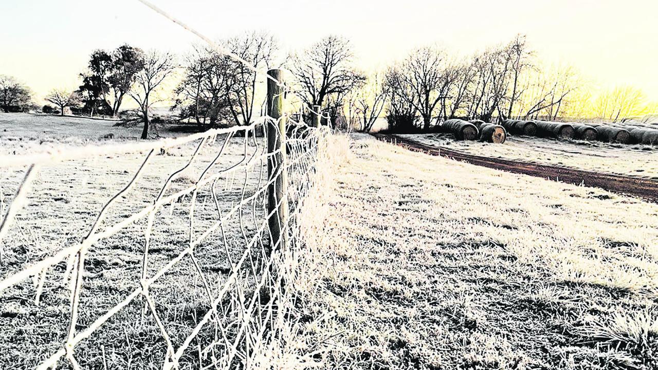 Frost farm morning Frost farm morning