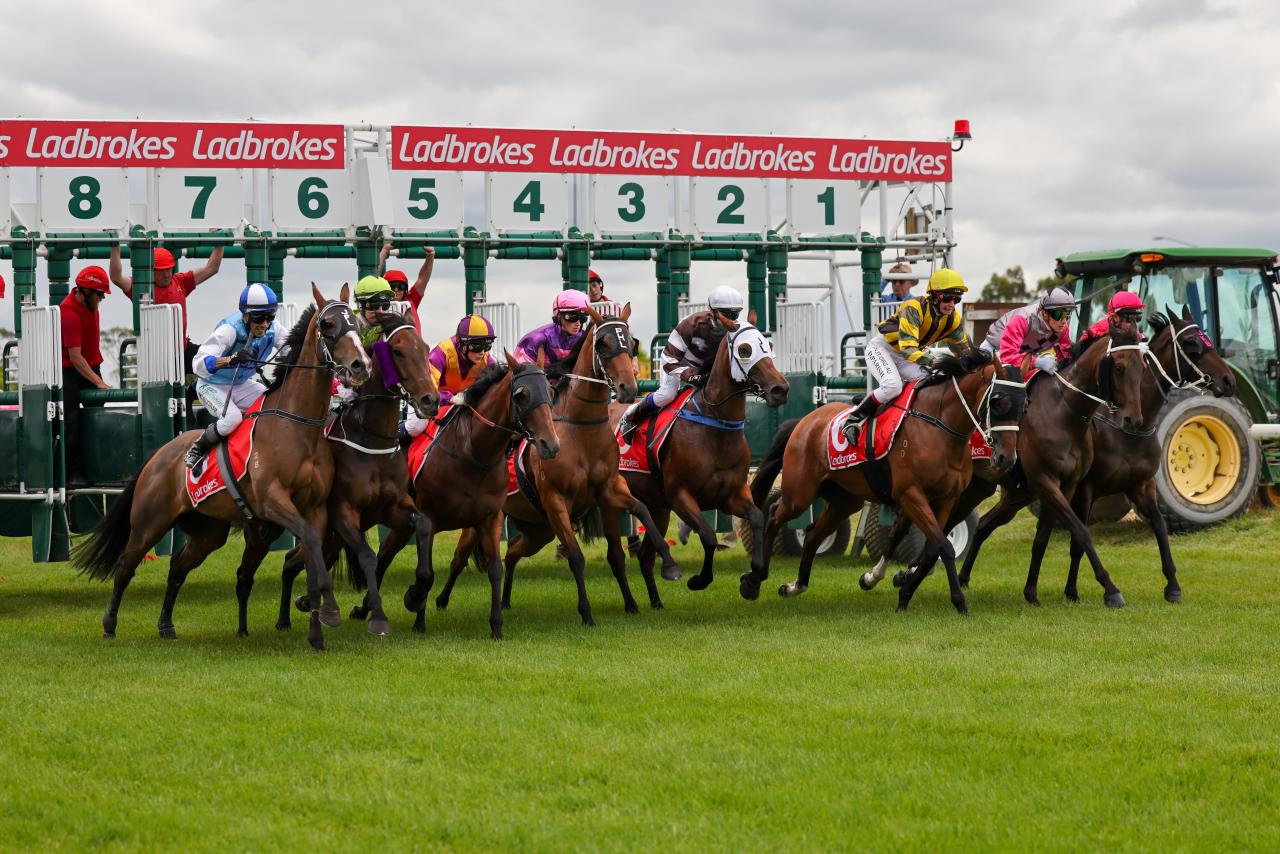 Longford Cup race meeting action this year.