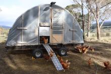 Mr Botha built this egg caravan to easily move the chickens to fresh pastures every few days. 