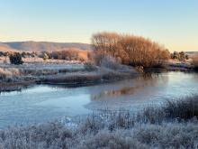  Frozen Macquarie River at Ross by Belinda South.