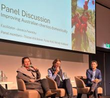  On the panel: Fiona Hall, Wendy Hubbard and Tristan Kitchener discuss improving domestic cherry markets